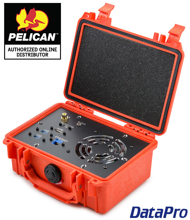 Pelican Protector Case with Panel
